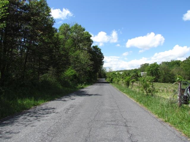 TBD TRINITY CHURCH RD, ROCKINGHAM, Virginia 22802, ,Land,TBD TRINITY CHURCH RD,664133 MLS # 664133