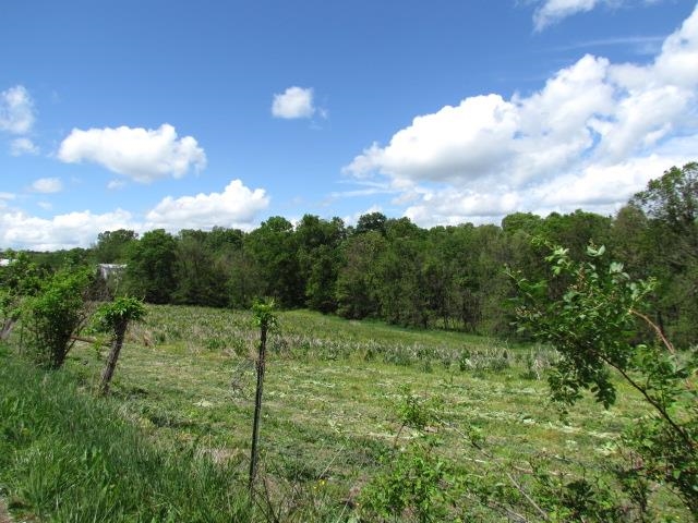 TBD TRINITY CHURCH RD, ROCKINGHAM, Virginia 22802, ,Land,TBD TRINITY CHURCH RD,664133 MLS # 664133