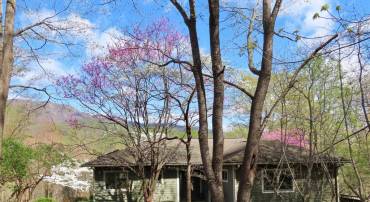 3016 ETLAN RD, ETLAN, Virginia 22719, 3 Bedrooms Bedrooms, ,3 BathroomsBathrooms,Residential,3016 ETLAN RD,VAMA2002114 MLS # VAMA2002114