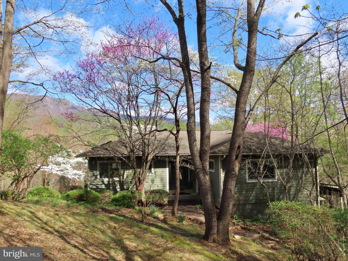 3016 ETLAN RD, ETLAN, Virginia 22719, 3 Bedrooms Bedrooms, ,3 BathroomsBathrooms,Residential,For sale,3016 ETLAN RD,VAMA2002114 MLS # VAMA2002114