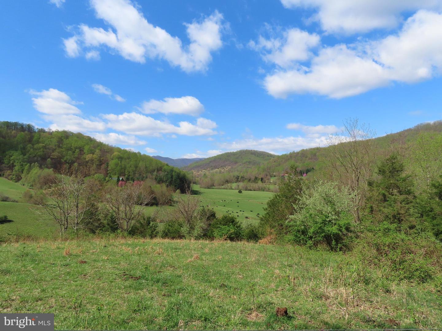 3016 ETLAN RD, ETLAN, Virginia 22719, 3 Bedrooms Bedrooms, ,3 BathroomsBathrooms,Residential,For sale,3016 ETLAN RD,VAMA2002114 MLS # VAMA2002114