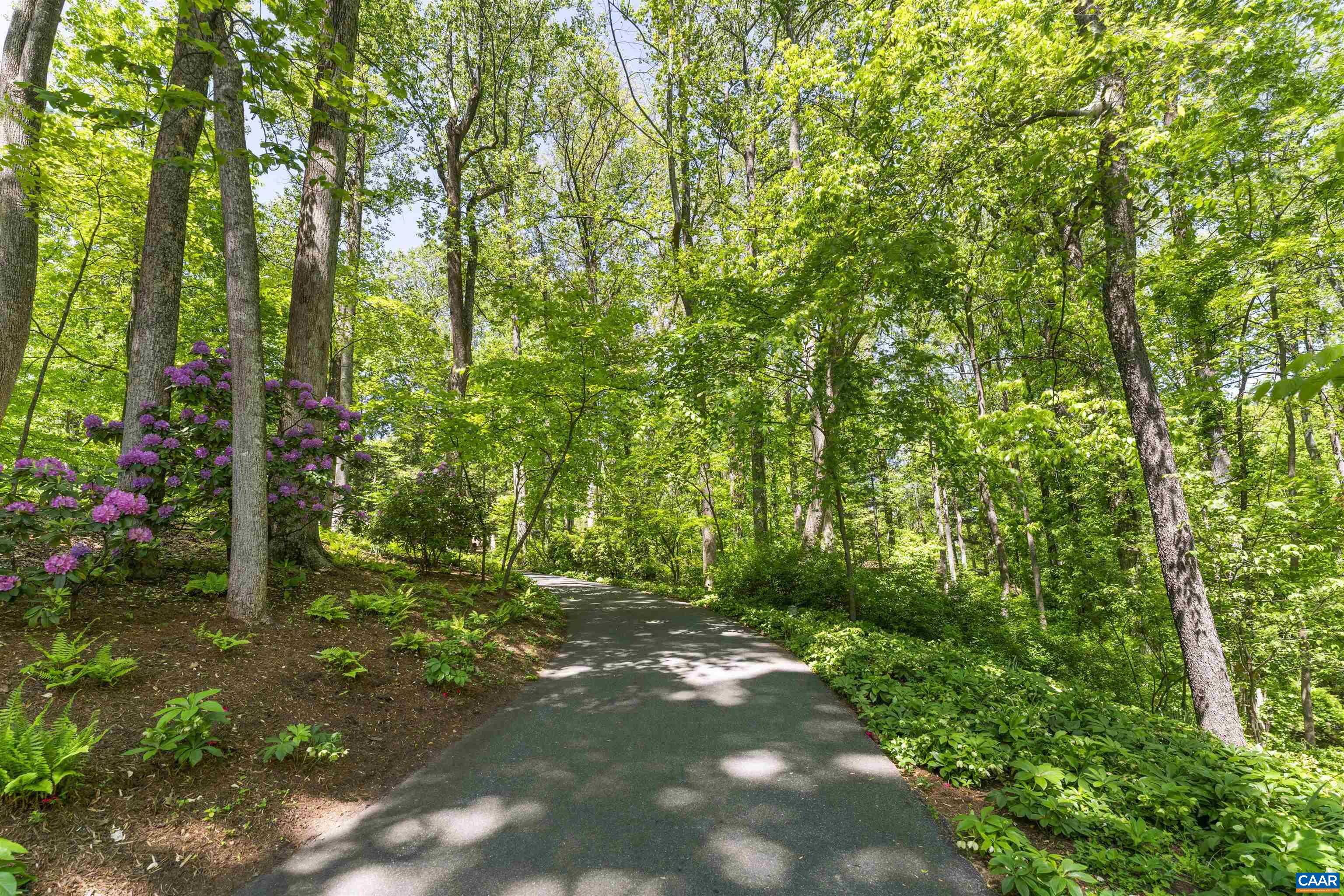 440 ROOKWOOD DR, CHARLOTTESVILLE, Virginia 22903, 4 Bedrooms Bedrooms, ,3 BathroomsBathrooms,Residential,440 ROOKWOOD DR,664130 MLS # 664130