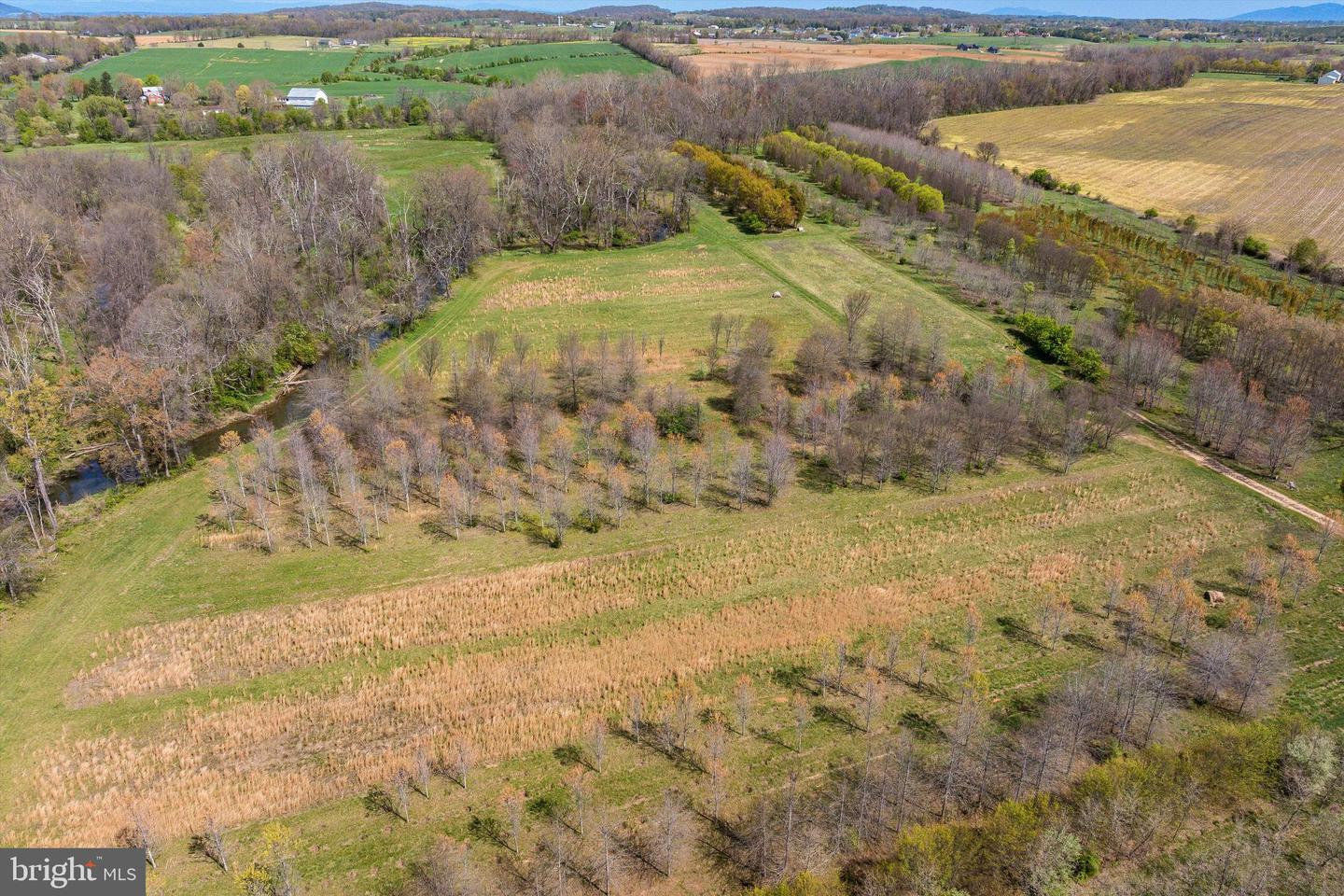 514 LIPSCOMB RD, STUARTS DRAFT, Virginia 24477, 10 Bedrooms Bedrooms, ,4 BathroomsBathrooms,Farm,For sale,514 LIPSCOMB RD,VAAG2000588 MLS # VAAG2000588