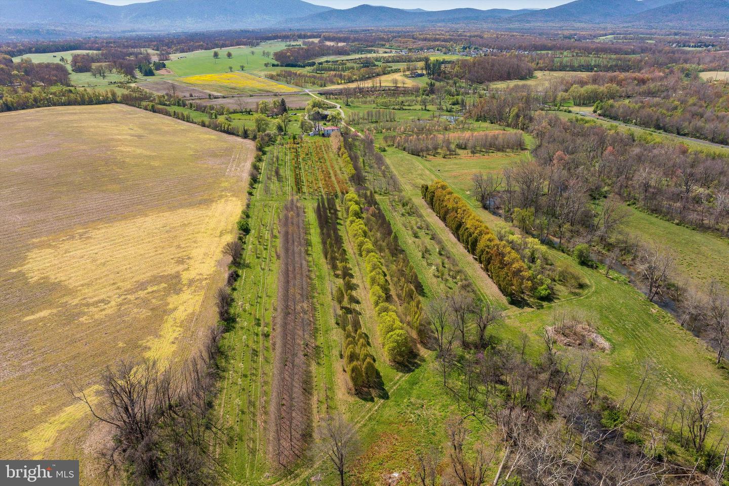514 LIPSCOMB RD, STUARTS DRAFT, Virginia 24477, 10 Bedrooms Bedrooms, ,4 BathroomsBathrooms,Farm,For sale,514 LIPSCOMB RD,VAAG2000588 MLS # VAAG2000588