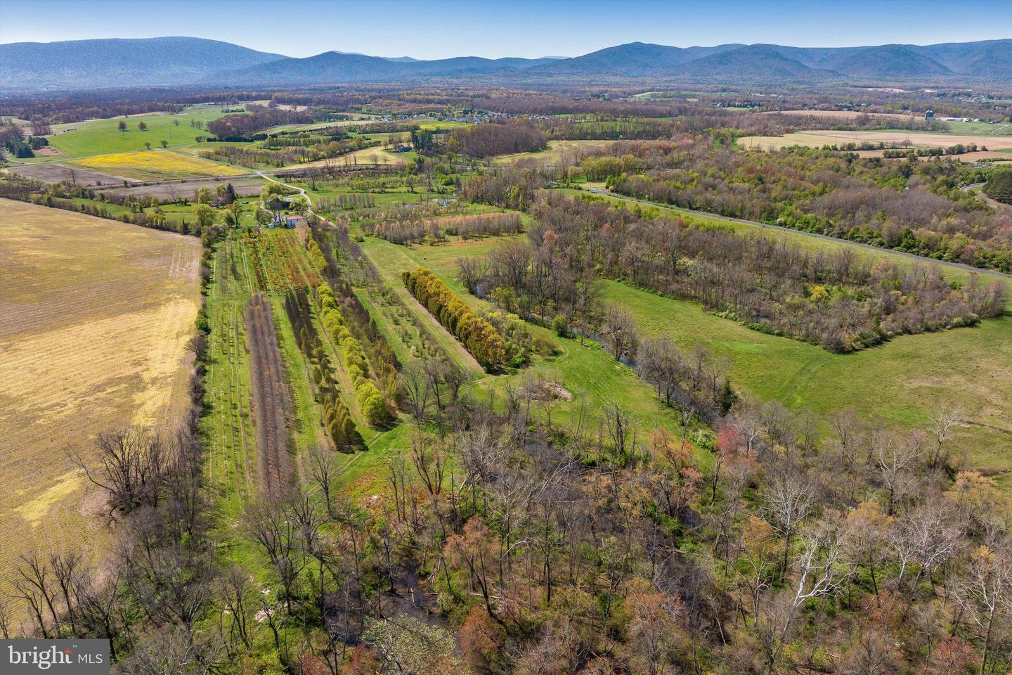 514 LIPSCOMB RD, STUARTS DRAFT, Virginia 24477, 10 Bedrooms Bedrooms, ,4 BathroomsBathrooms,Farm,For sale,514 LIPSCOMB RD,VAAG2000588 MLS # VAAG2000588