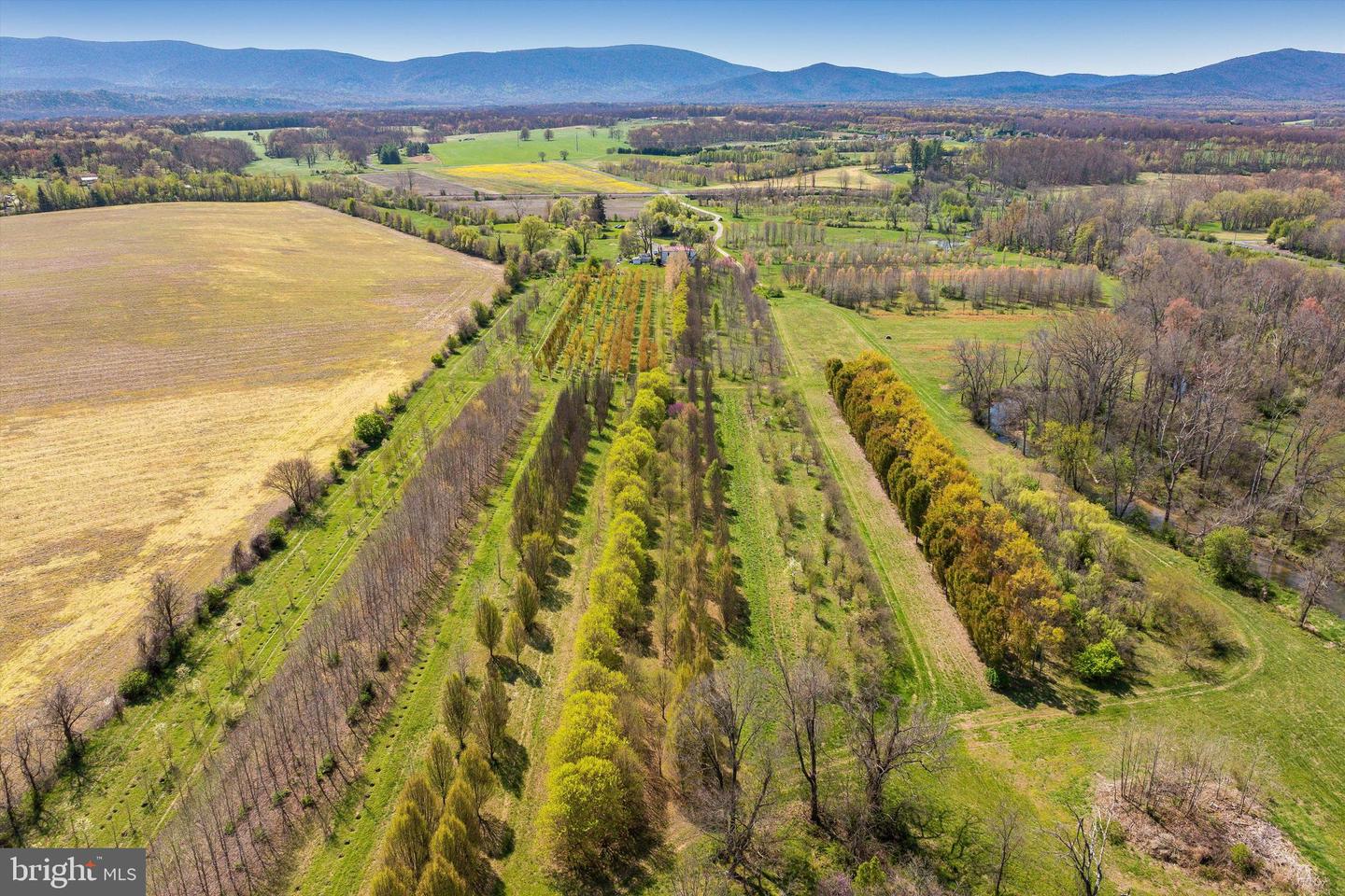 514 LIPSCOMB RD, STUARTS DRAFT, Virginia 24477, 10 Bedrooms Bedrooms, ,4 BathroomsBathrooms,Farm,For sale,514 LIPSCOMB RD,VAAG2000588 MLS # VAAG2000588