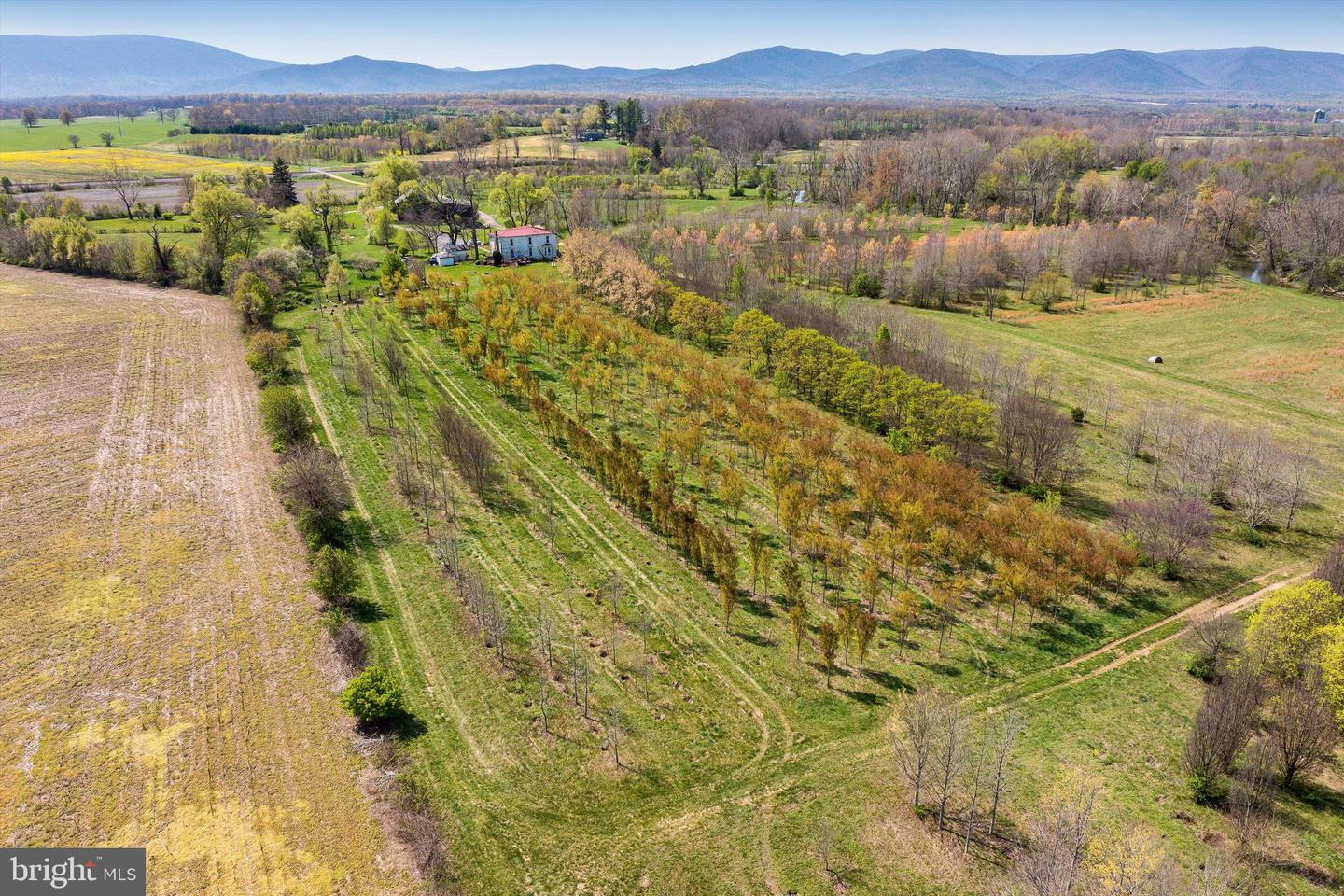 514 LIPSCOMB RD, STUARTS DRAFT, Virginia 24477, 10 Bedrooms Bedrooms, ,4 BathroomsBathrooms,Farm,For sale,514 LIPSCOMB RD,VAAG2000588 MLS # VAAG2000588
