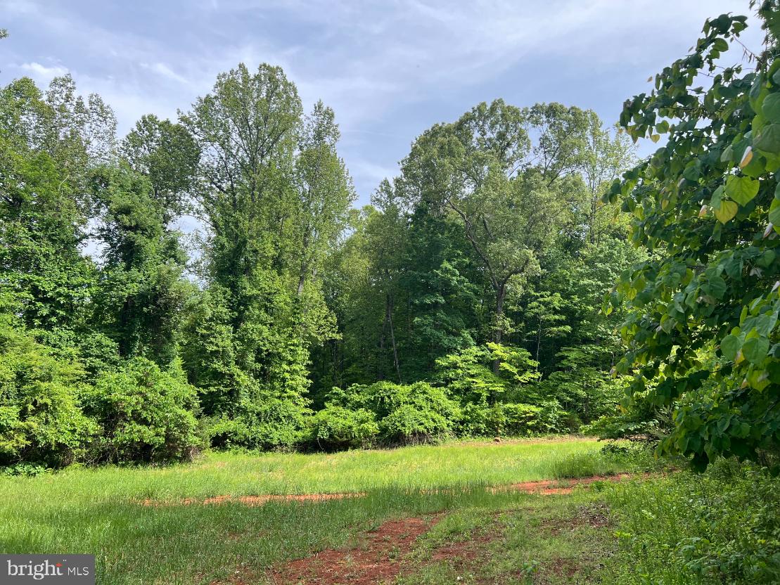 STONY POINT PASS, KESWICK, Virginia 22947, ,Farm,For sale,STONY POINT PASS,VAAB2000922 MLS # VAAB2000922