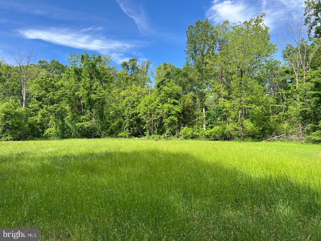 STONY POINT PASS, KESWICK, Virginia 22947, ,Farm,For sale,STONY POINT PASS,VAAB2000922 MLS # VAAB2000922