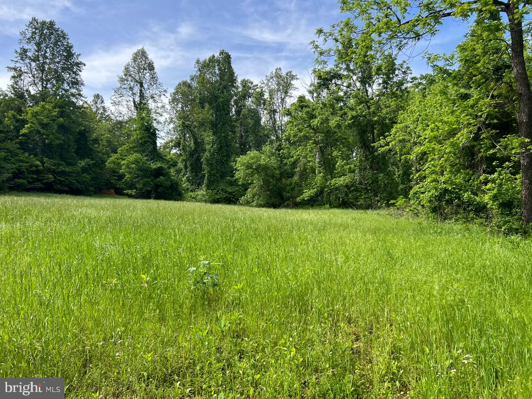 STONY POINT PASS, KESWICK, Virginia 22947, ,Farm,For sale,STONY POINT PASS,VAAB2000922 MLS # VAAB2000922