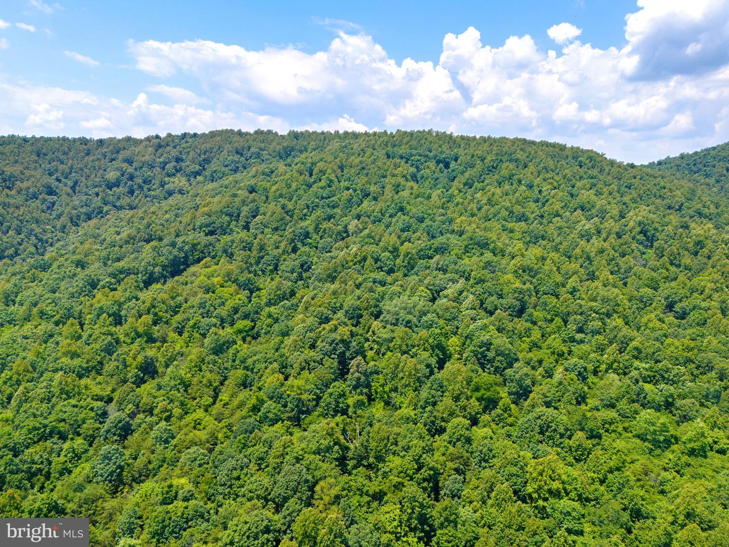 STONY POINT PASS, KESWICK, Virginia 22947, ,Farm,For sale,STONY POINT PASS,VAAB2000922 MLS # VAAB2000922