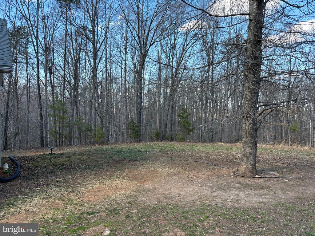 93 EVERGREENS DR, LOUISA, Virginia 23093, 4 Bedrooms Bedrooms, ,2 BathroomsBathrooms,Residential,93 EVERGREENS DR,VALA2007558 MLS # VALA2007558