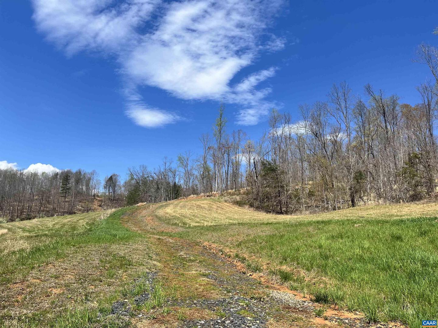 0 WILLOW BRANCH LN #1, FABER, Virginia 22938, ,Land,For sale,0 WILLOW BRANCH LN #1,664138 MLS # 664138