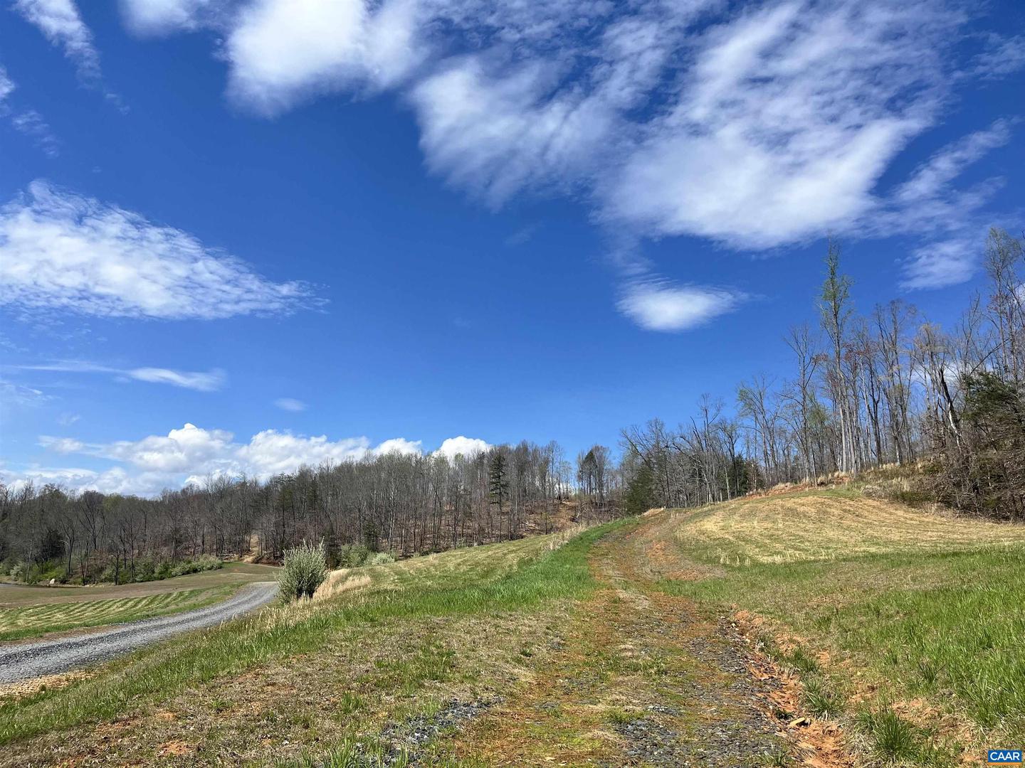 0 WILLOW BRANCH LN #1, FABER, Virginia 22938, ,Land,For sale,0 WILLOW BRANCH LN #1,664138 MLS # 664138