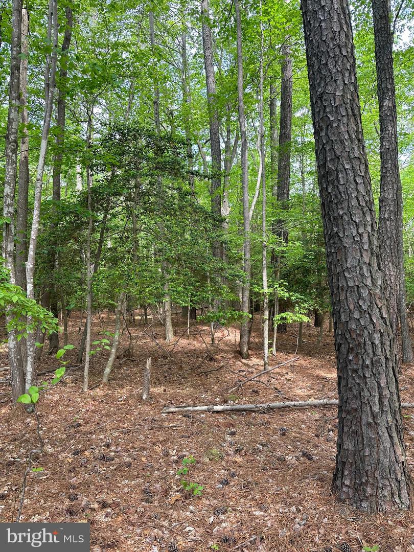 LANKFORD HWY, BLOXOM, Virginia 23308, ,Land,For sale,LANKFORD HWY,VAAC2001858 MLS # VAAC2001858