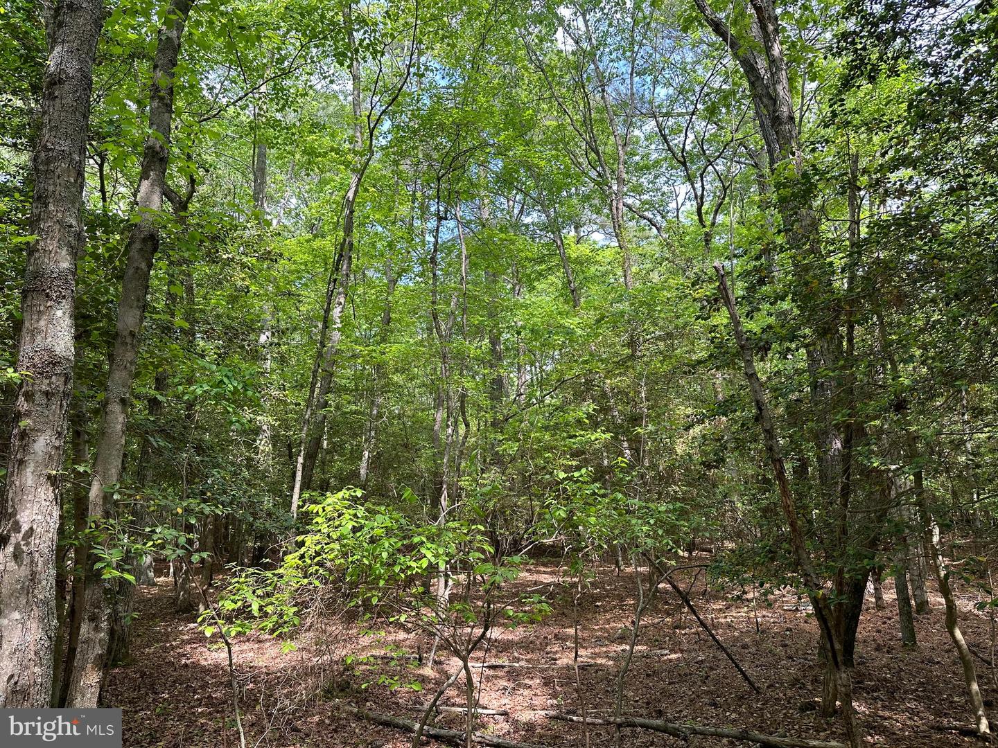 LANKFORD HWY, BLOXOM, Virginia 23308, ,Land,For sale,LANKFORD HWY,VAAC2001858 MLS # VAAC2001858