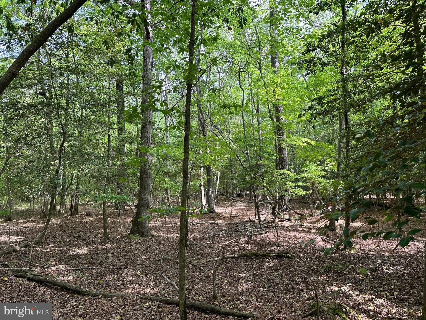 LANKFORD HWY, BLOXOM, Virginia 23308, ,Land,For sale,LANKFORD HWY,VAAC2001858 MLS # VAAC2001858