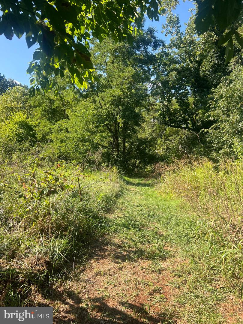 JAMES MADISON HWY, GORDONSVILLE, Virginia 22942, ,Land,For sale,JAMES MADISON HWY,VAOR2008972 MLS # VAOR2008972