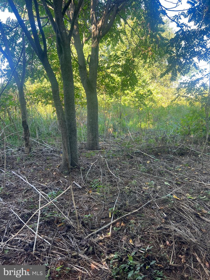 JAMES MADISON HWY, GORDONSVILLE, Virginia 22942, ,Land,For sale,JAMES MADISON HWY,VAOR2008972 MLS # VAOR2008972