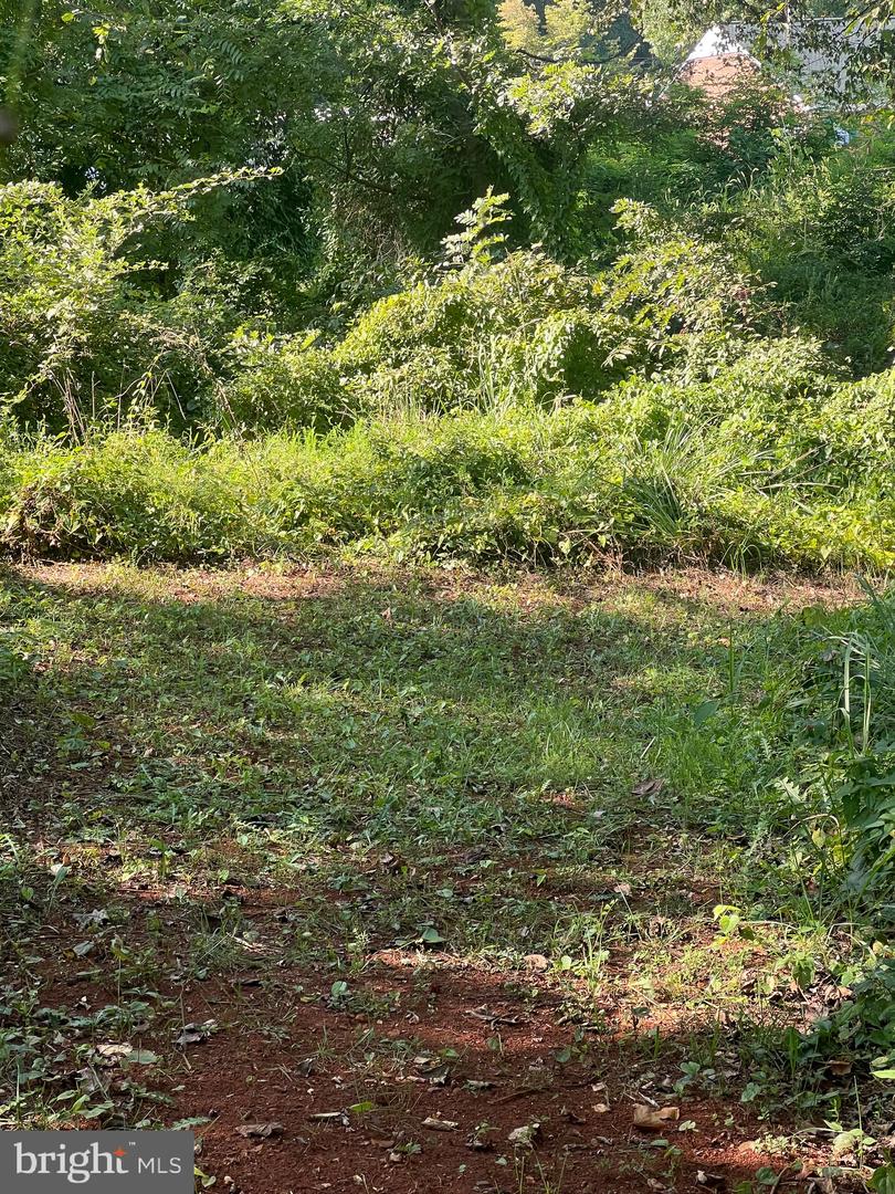 JAMES MADISON HWY, GORDONSVILLE, Virginia 22942, ,Land,For sale,JAMES MADISON HWY,VAOR2008972 MLS # VAOR2008972