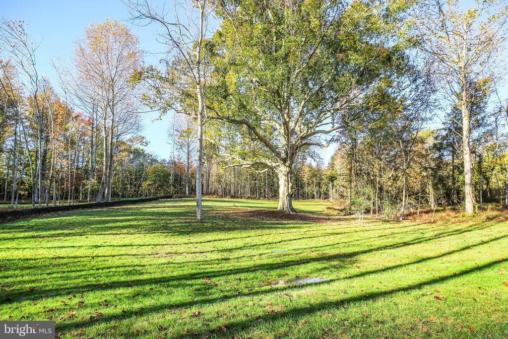 11002 SCOTTS VIEW LN, FREDERICKSBURG, Virginia 22407, 5 Bedrooms Bedrooms, ,5 BathroomsBathrooms,Residential,11002 SCOTTS VIEW LN,VASP2030654 MLS # VASP2030654
