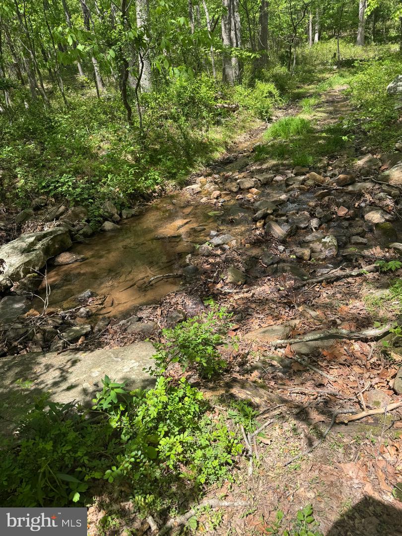 0 BONNET HILL, MAURERTOWN, Virginia 22644, ,Land,For sale,0 BONNET HILL,VASH2011360 MLS # VASH2011360