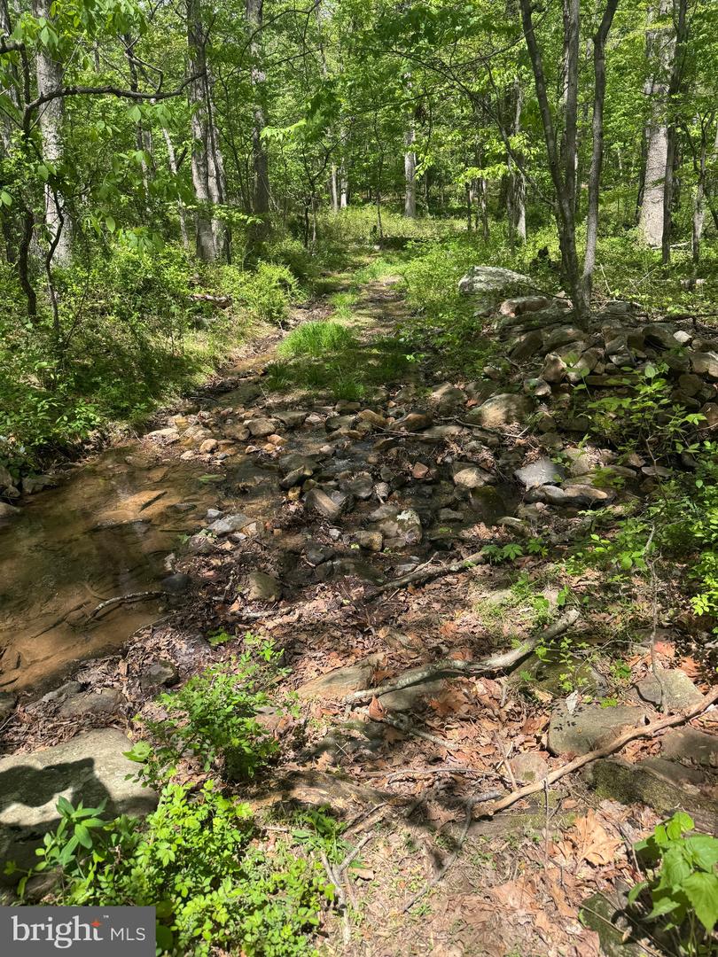 0 BONNET HILL, MAURERTOWN, Virginia 22644, ,Land,For sale,0 BONNET HILL,VASH2011360 MLS # VASH2011360