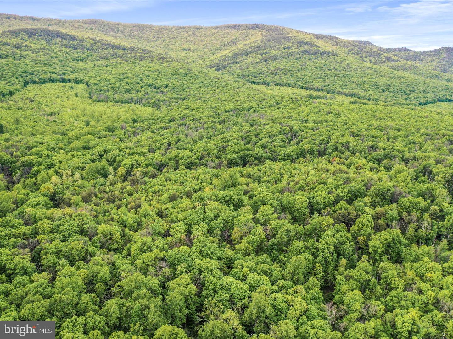 0 BONNET HILL, MAURERTOWN, Virginia 22644, ,Land,For sale,0 BONNET HILL,VASH2011360 MLS # VASH2011360