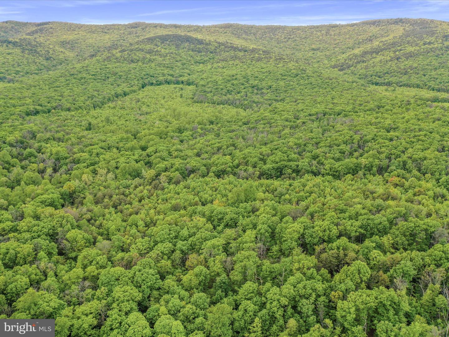 0 BONNET HILL, MAURERTOWN, Virginia 22644, ,Land,For sale,0 BONNET HILL,VASH2011360 MLS # VASH2011360