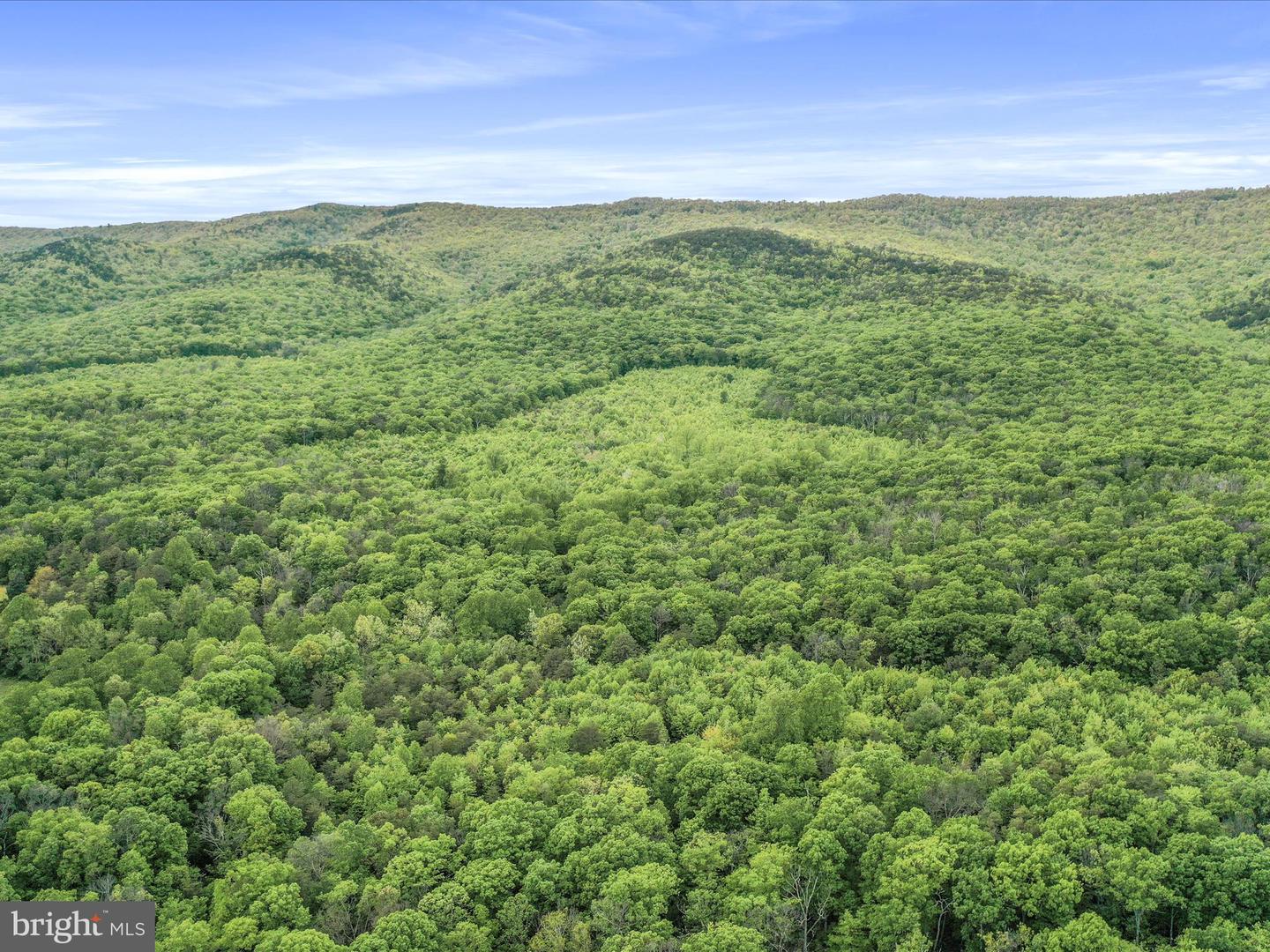 0 BONNET HILL, MAURERTOWN, Virginia 22644, ,Land,For sale,0 BONNET HILL,VASH2011360 MLS # VASH2011360