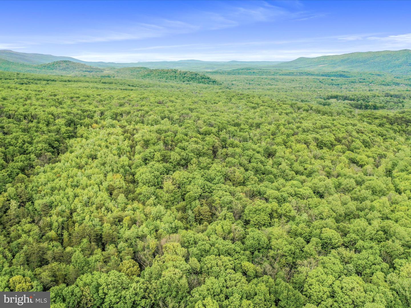 0 BONNET HILL, MAURERTOWN, Virginia 22644, ,Land,For sale,0 BONNET HILL,VASH2011360 MLS # VASH2011360