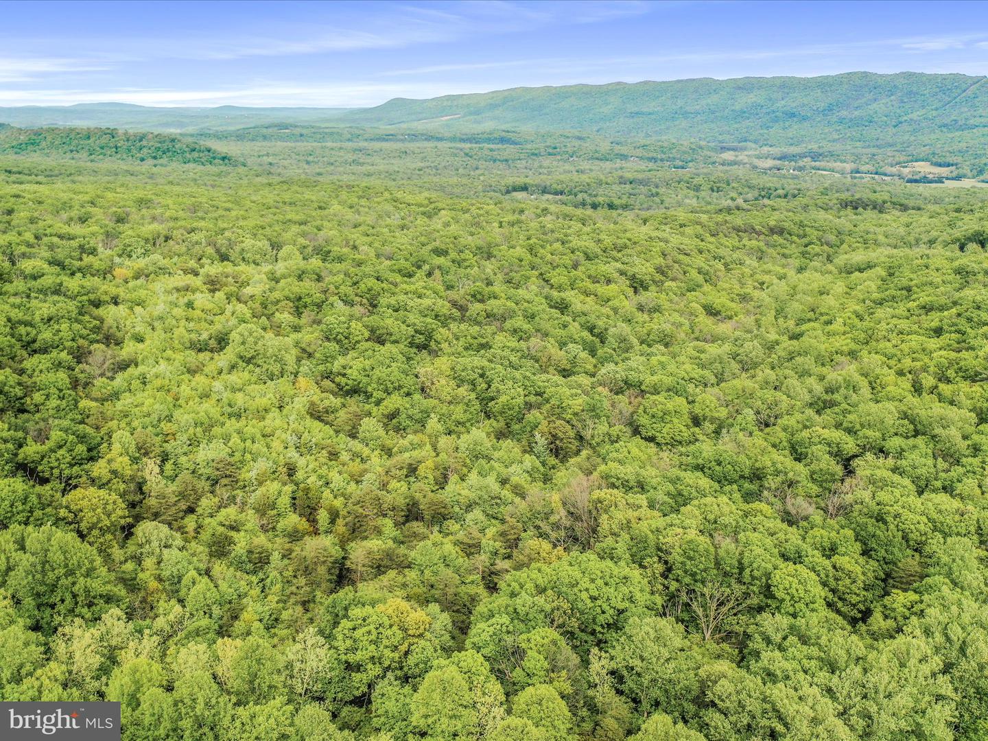 0 BONNET HILL, MAURERTOWN, Virginia 22644, ,Land,For sale,0 BONNET HILL,VASH2011360 MLS # VASH2011360