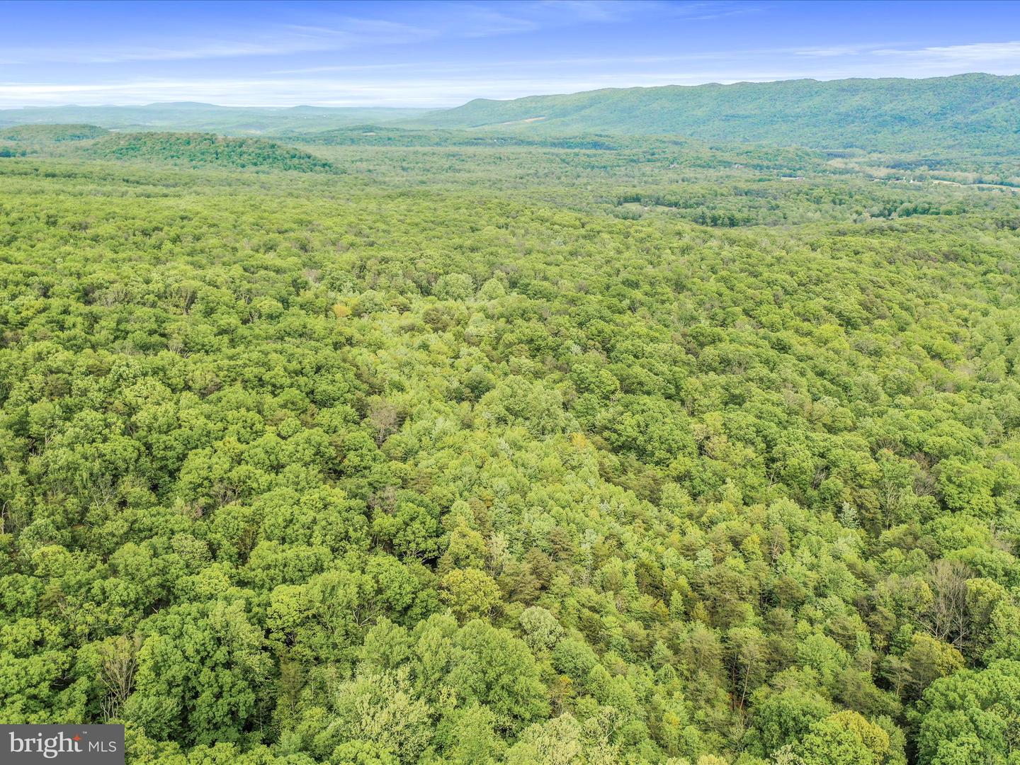 0 BONNET HILL, MAURERTOWN, Virginia 22644, ,Land,For sale,0 BONNET HILL,VASH2011360 MLS # VASH2011360