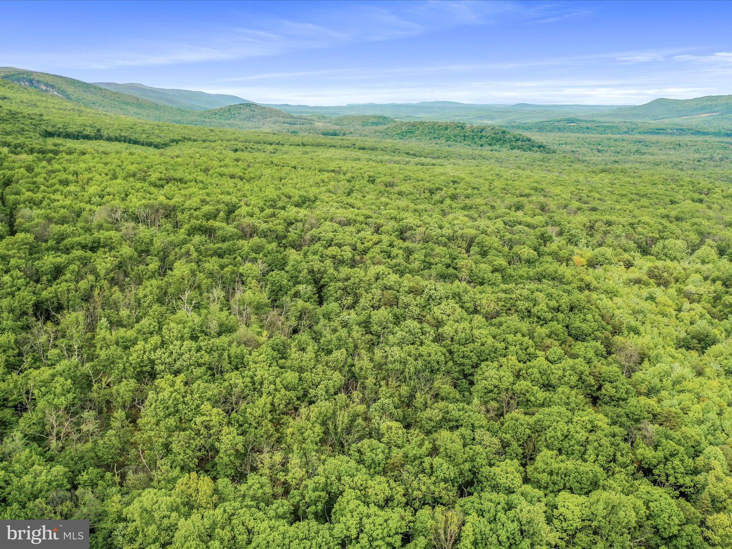 0 BONNET HILL, MAURERTOWN, Virginia 22644, ,Land,For sale,0 BONNET HILL,VASH2011360 MLS # VASH2011360