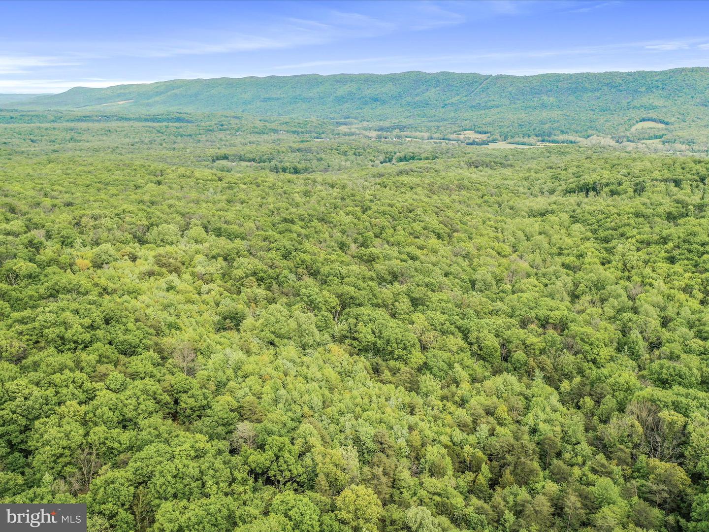 0 BONNET HILL, MAURERTOWN, Virginia 22644, ,Land,For sale,0 BONNET HILL,VASH2011360 MLS # VASH2011360