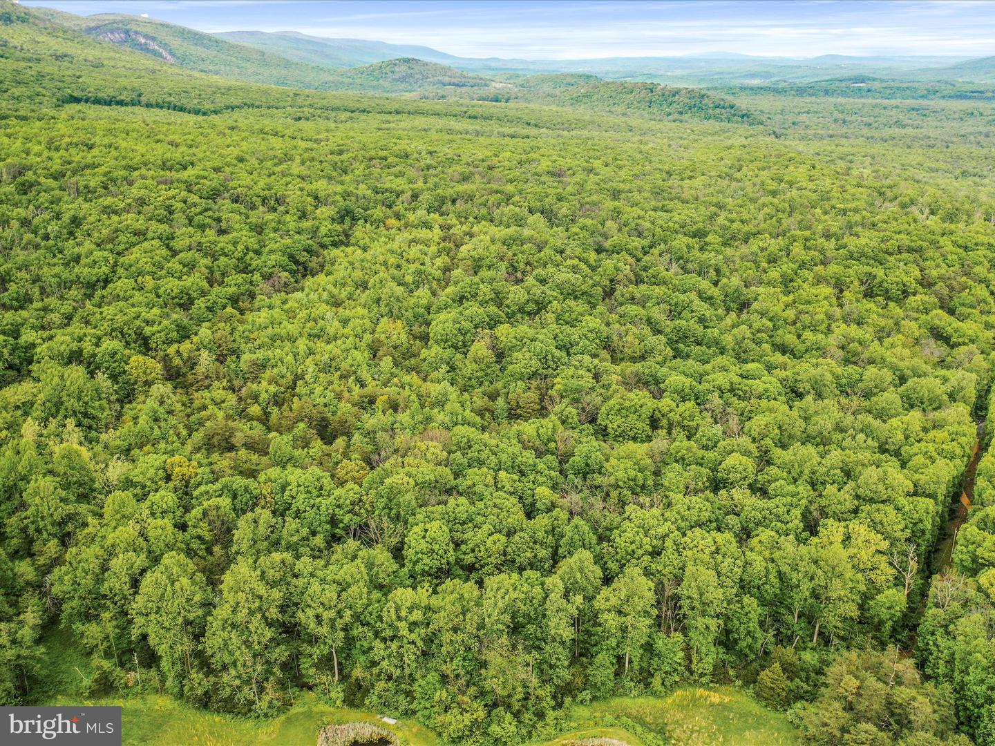 0 BONNET HILL, MAURERTOWN, Virginia 22644, ,Land,For sale,0 BONNET HILL,VASH2011360 MLS # VASH2011360
