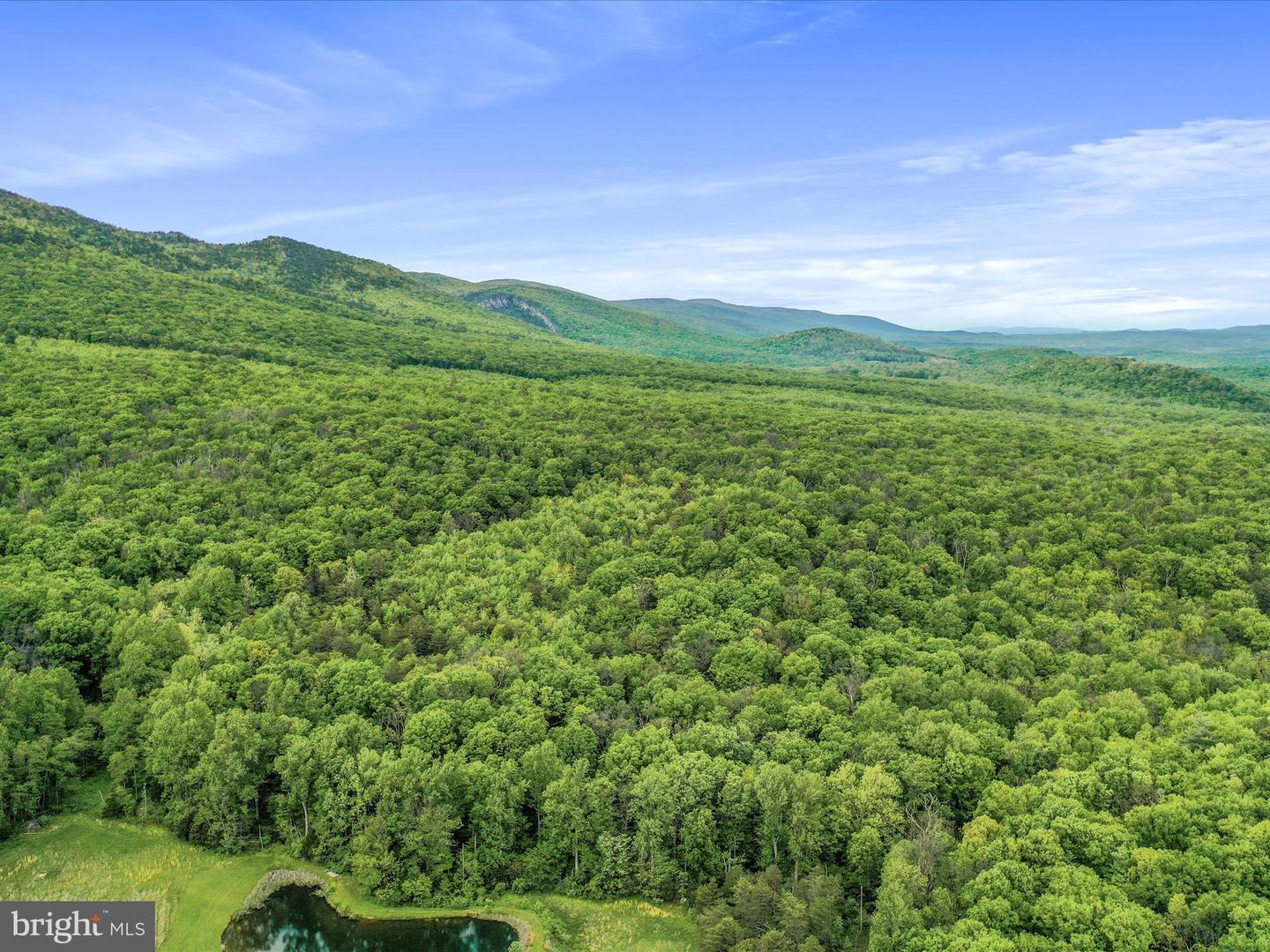 0 BONNET HILL, MAURERTOWN, Virginia 22644, ,Land,For sale,0 BONNET HILL,VASH2011360 MLS # VASH2011360