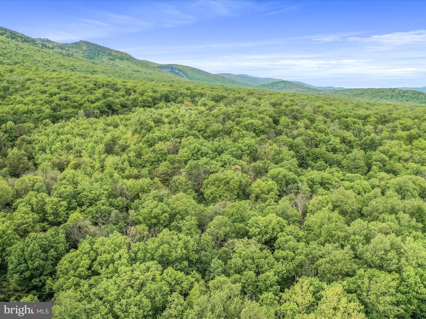0 BONNET HILL, MAURERTOWN, Virginia 22644, ,Land,For sale,0 BONNET HILL,VASH2011360 MLS # VASH2011360