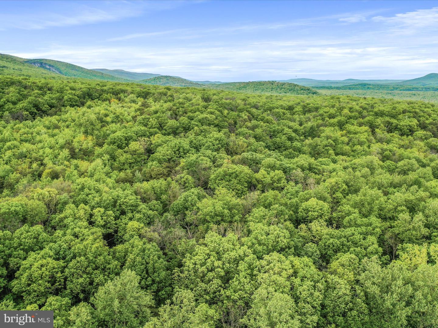 0 BONNET HILL, MAURERTOWN, Virginia 22644, ,Land,For sale,0 BONNET HILL,VASH2011360 MLS # VASH2011360