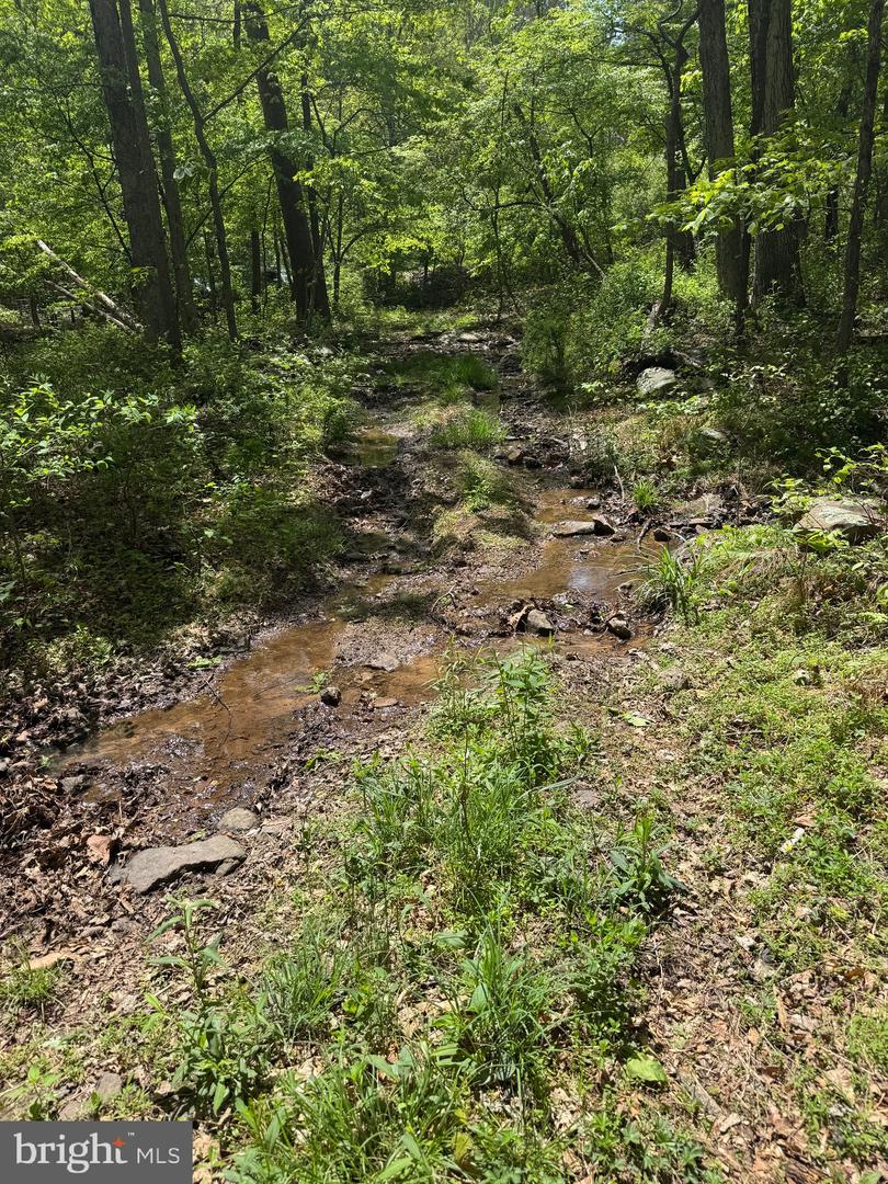 0 BONNET HILL, MAURERTOWN, Virginia 22644, ,Land,For sale,0 BONNET HILL,VASH2011360 MLS # VASH2011360