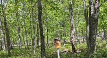0 BONNET HILL, MAURERTOWN, Virginia 22644, ,Land,For sale,0 BONNET HILL,VASH2011360 MLS # VASH2011360