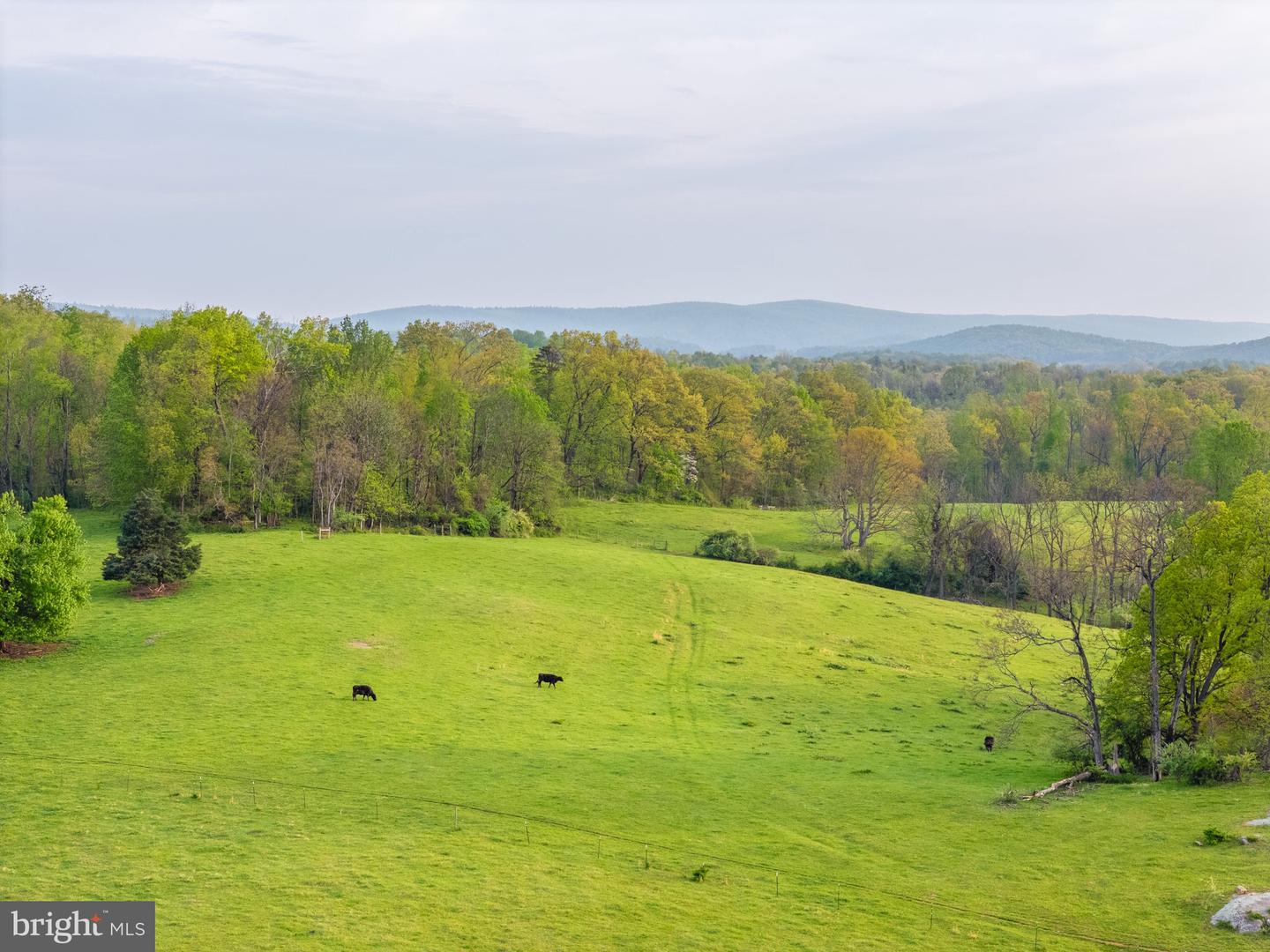 3563 BRIAR HILL LN, DELAPLANE, Virginia 20144, ,Farm,For sale,3563 BRIAR HILL LN,VAFQ2016518 MLS # VAFQ2016518