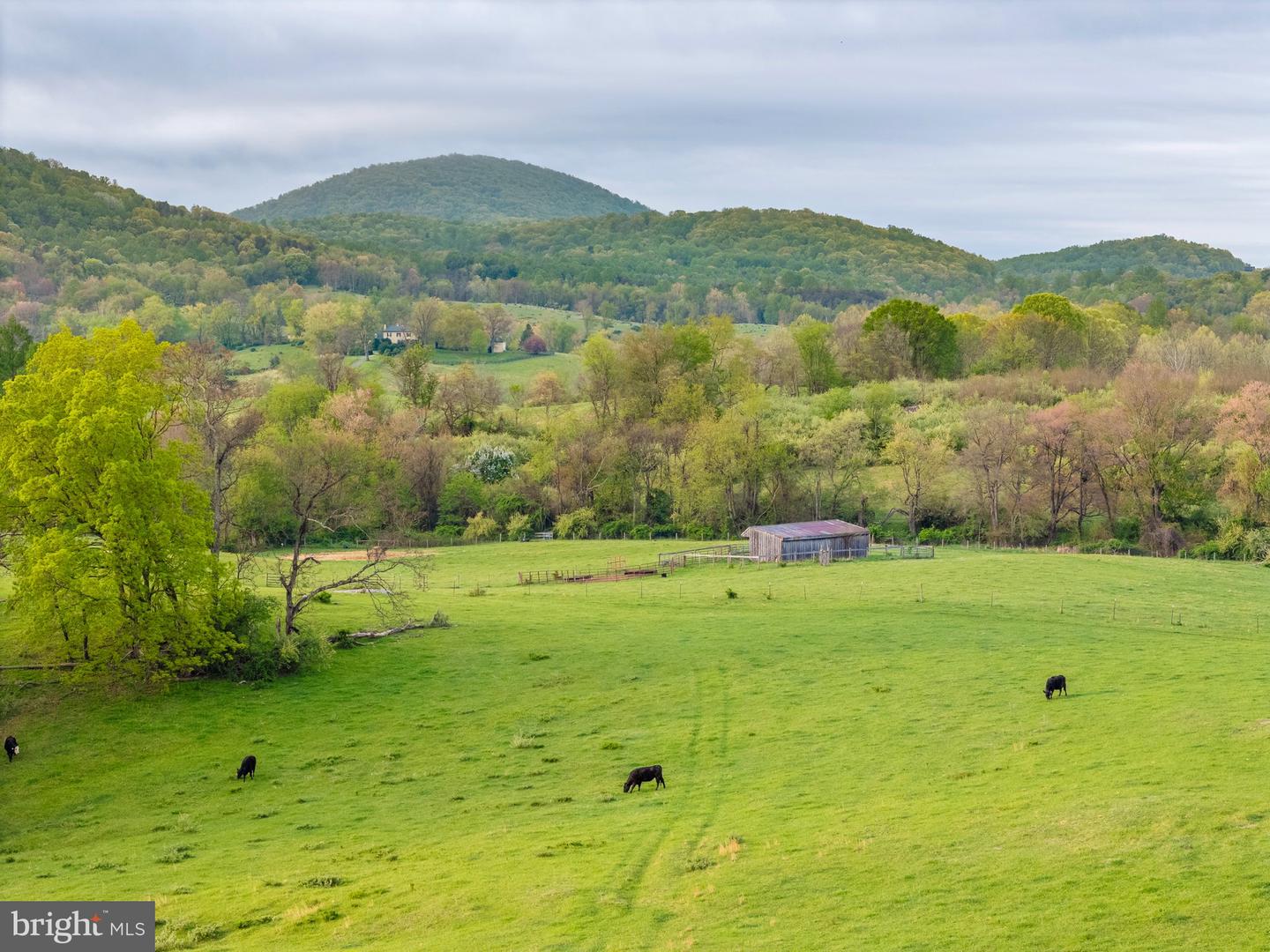 3563 BRIAR HILL LN, DELAPLANE, Virginia 20144, ,Farm,For sale,3563 BRIAR HILL LN,VAFQ2016518 MLS # VAFQ2016518