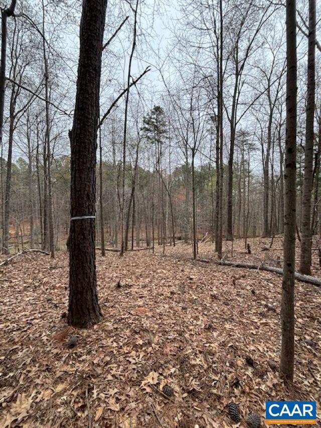 018E7 GARTH GATE LN #018E7, CHARLOTTESVILLE, Virginia 22901, ,Land,For sale,018E7 GARTH GATE LN #018E7,664218 MLS # 664218