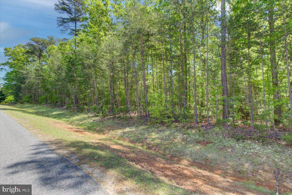 29 DICKINSON DR, MINERAL, Virginia 23117, ,Land,For sale,29 DICKINSON DR,VALA2007818 MLS # VALA2007818