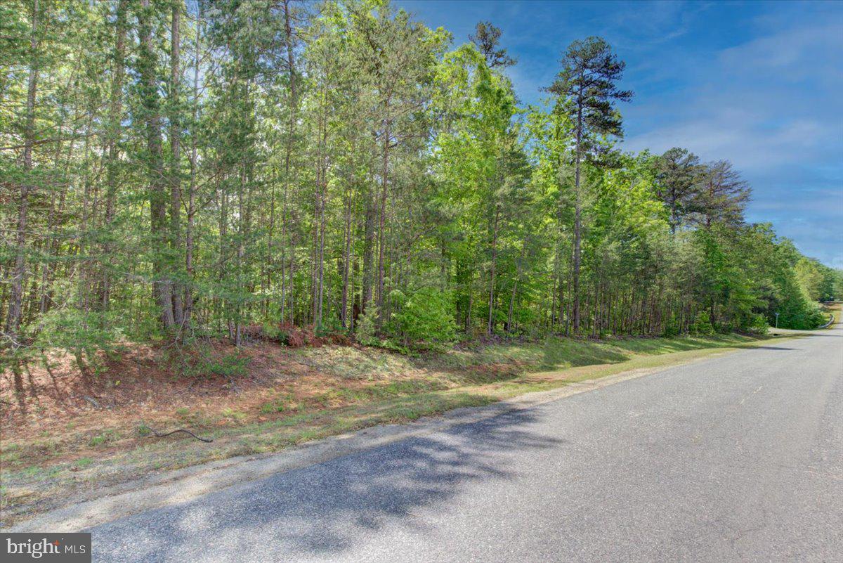 29 DICKINSON DR, MINERAL, Virginia 23117, ,Land,For sale,29 DICKINSON DR,VALA2007818 MLS # VALA2007818