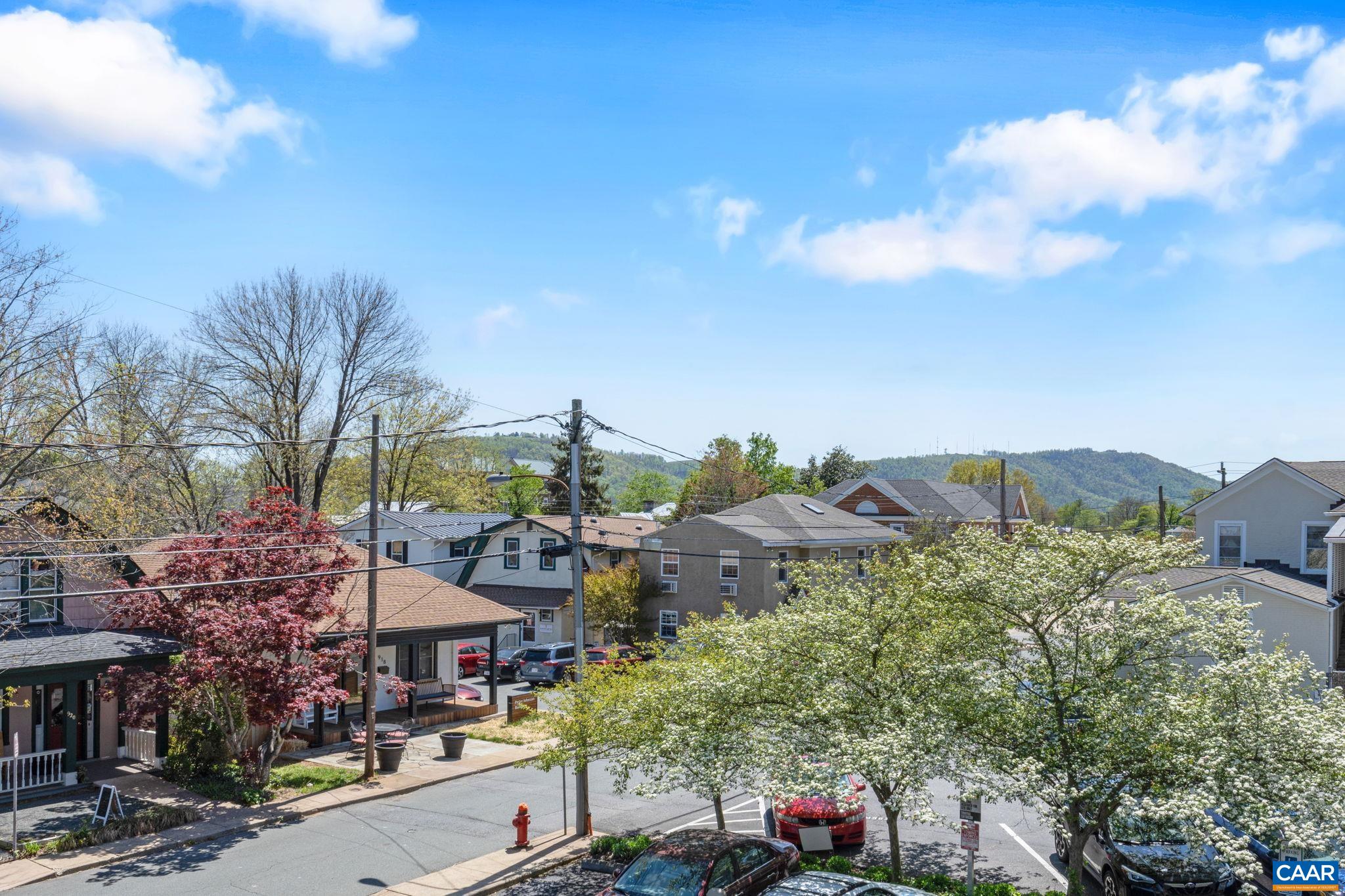820 EAST HIGH ST, CHARLOTTESVILLE, Virginia 22902, 1 Bedroom Bedrooms, ,1 BathroomBathrooms,Residential,820 EAST HIGH ST,663439 MLS # 663439