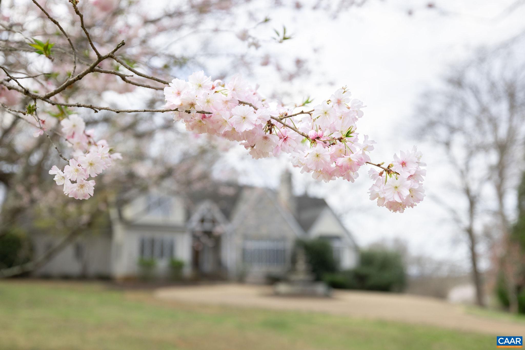 2121 GARTH RD, CHARLOTTESVILLE, Virginia 22901, 3 Bedrooms Bedrooms, ,3 BathroomsBathrooms,Residential,MAJESTIC OAKS,2121 GARTH RD,664135 MLS # 664135