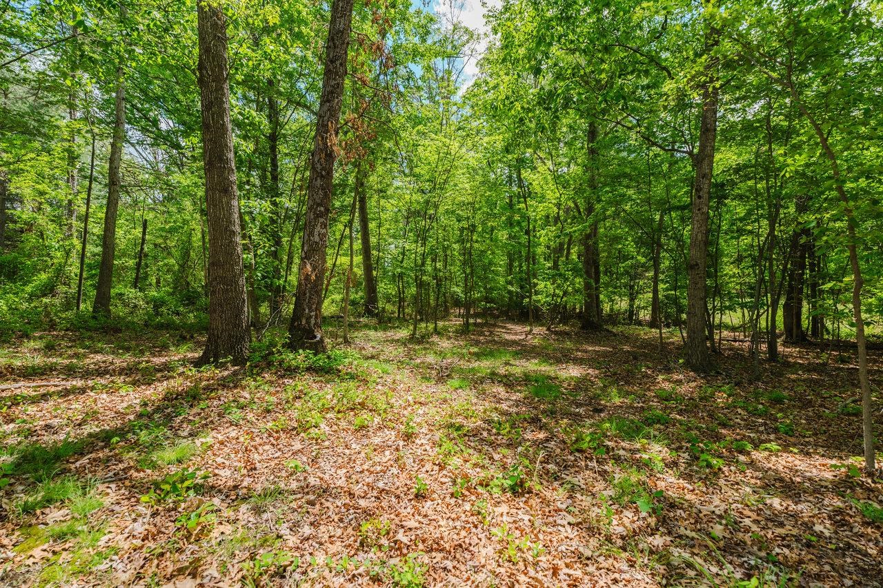 256 BACK RD, SHENANDOAH, Virginia 22849, 3 Bedrooms Bedrooms, ,2 BathroomsBathrooms,Residential,256 BACK RD,664210 MLS # 664210