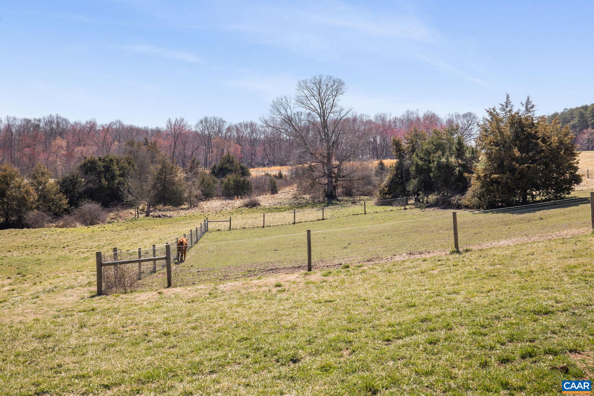 2838 B BIBB STORE RD, LOUISA, Virginia 23093, 3 Bedrooms Bedrooms, ,2 BathroomsBathrooms,Residential,Lyon Farm,2838 B BIBB STORE RD,664194 MLS # 664194